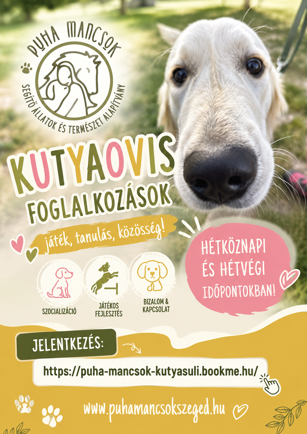 Kutyaovi